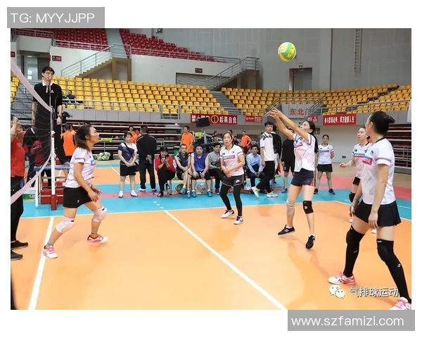 成都排球队战术解析与发展策略探讨助力球队提升竞技水平