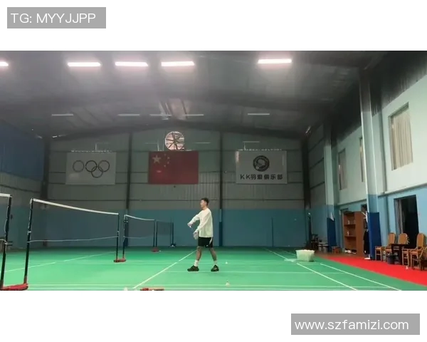 羽毛球战术解析：杭州羽毛球队区域防守的奥秘与实践探讨