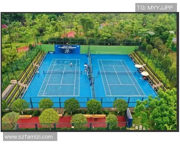 成都网球队运营革新探索：提升竞技水平与市场影响力的新路径