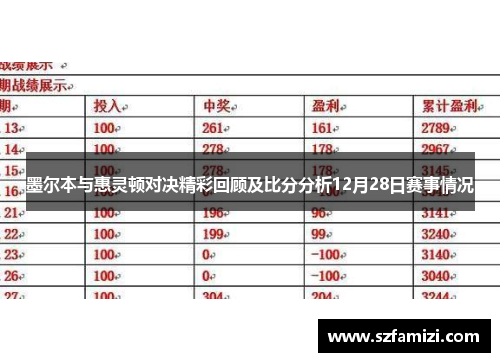 墨尔本与惠灵顿对决精彩回顾及比分分析12月28日赛事情况